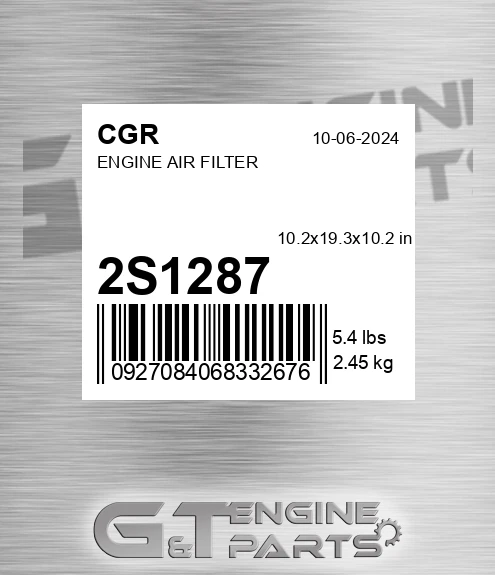 2S1287 CGR Engine Air Filter