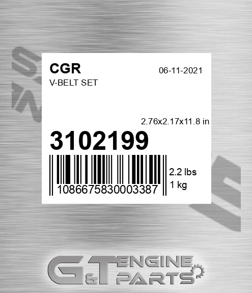 3102199 V-belt Set