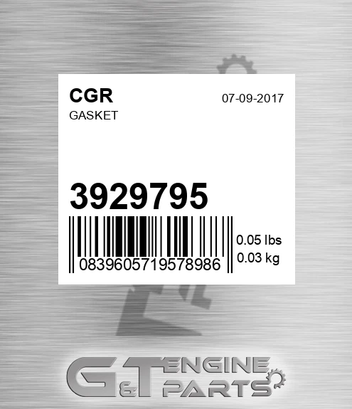 3929795 Gasket