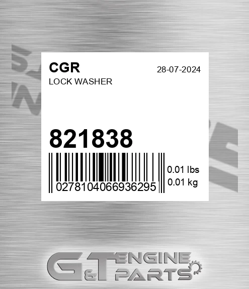 821838 Lock Washer