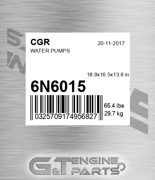 6N6015 CGR Water Pumps