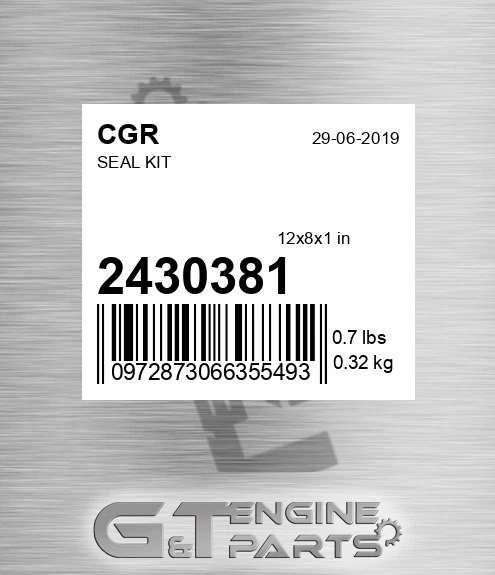 2430381 CGR Seal Kit