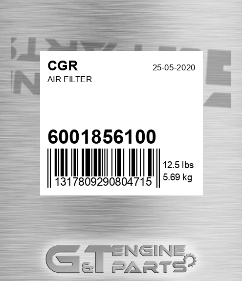 6001856100 CGR Air Filter