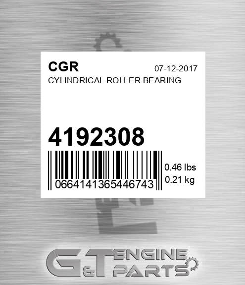4192308 Cylindrical Roller Bearing