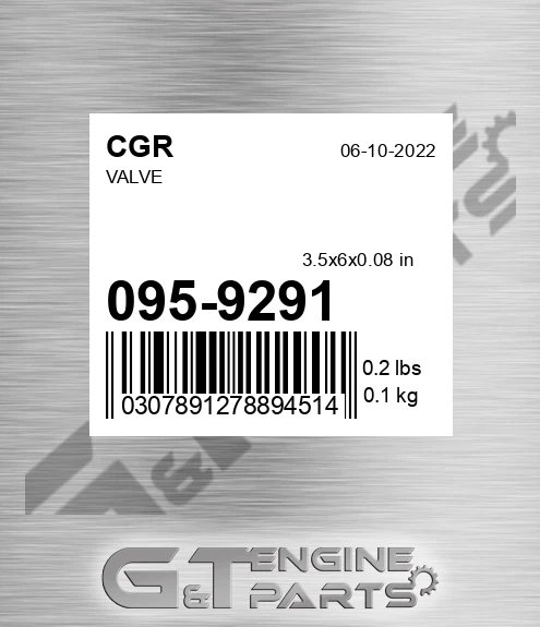 095-9291 Valve