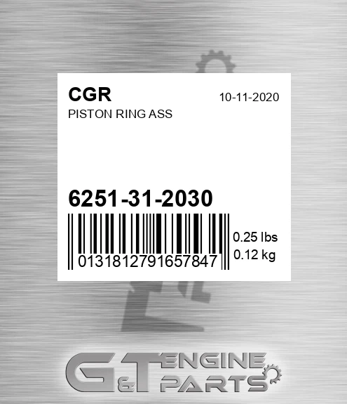 6251-31-2030 Piston Ring Ass