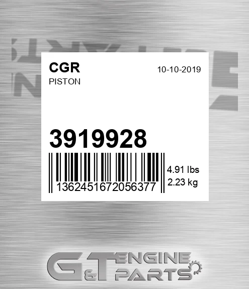 3919928 Piston