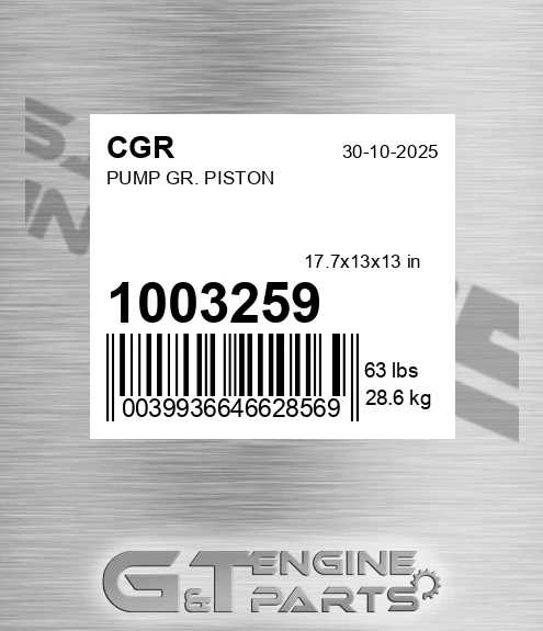 1003259 Pump Gr. Piston