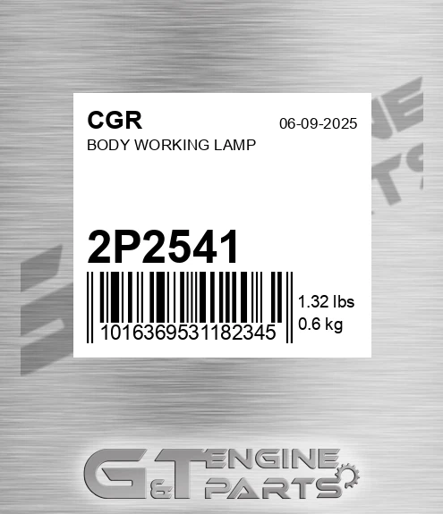 2P2541 Body Working Lamp