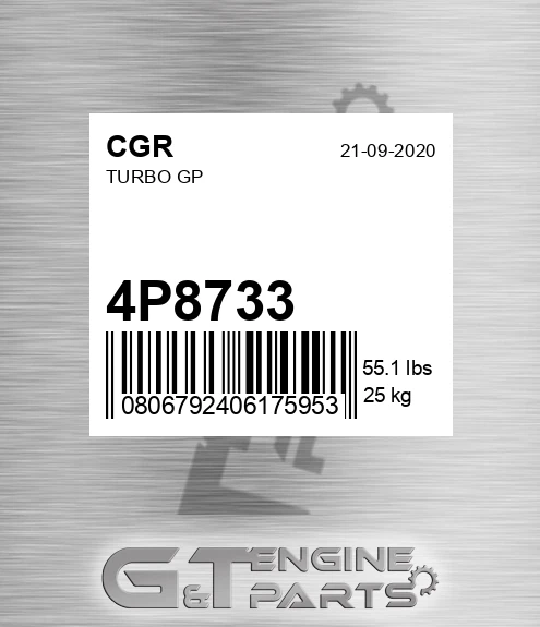 4P8733 Turbo Gp
