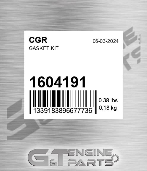 1604191 Gasket Kit