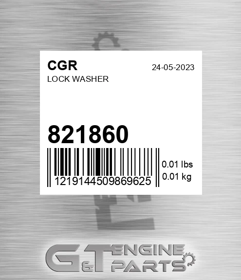 821860 Lock Washer