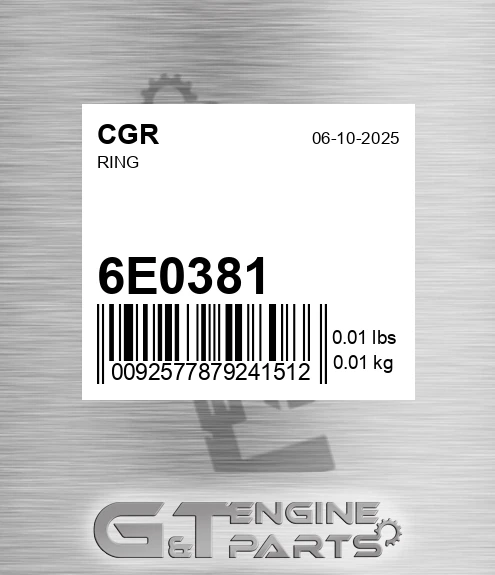 6E0381 Ring