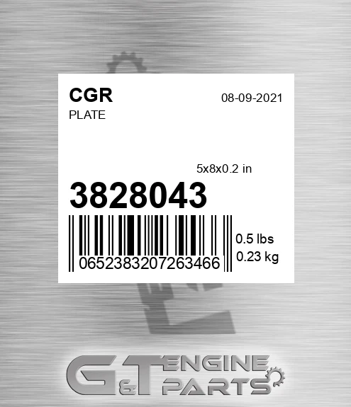 3828043 Plate