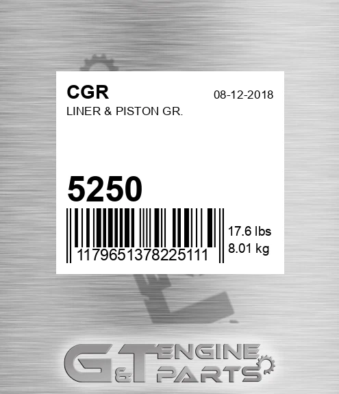 5250 Liner & Piston Gr.