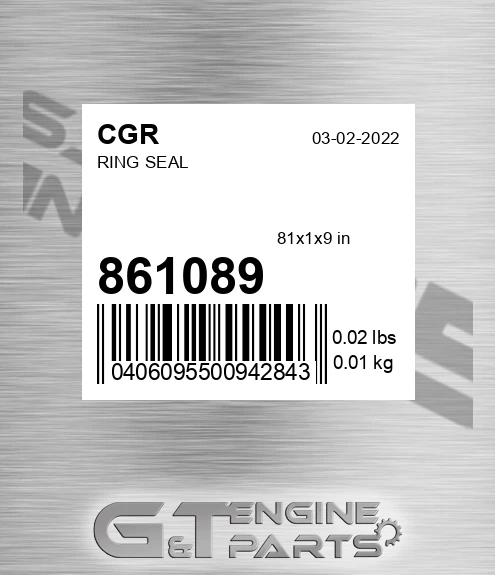 861089 Ring Seal