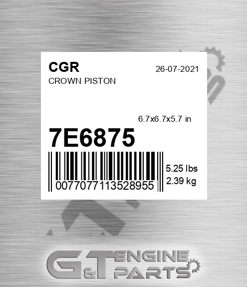7E6875 Crown Piston