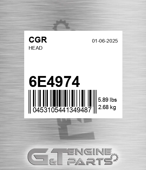 6E4974 Head