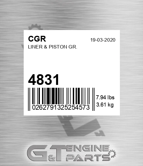 4831 Liner & Piston Gr.