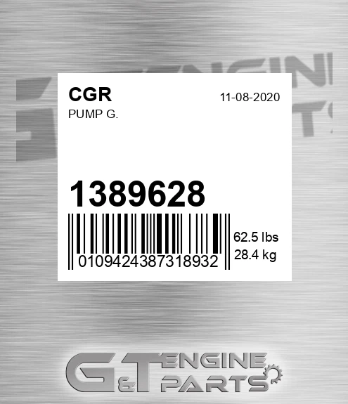 1389628 Pump G.