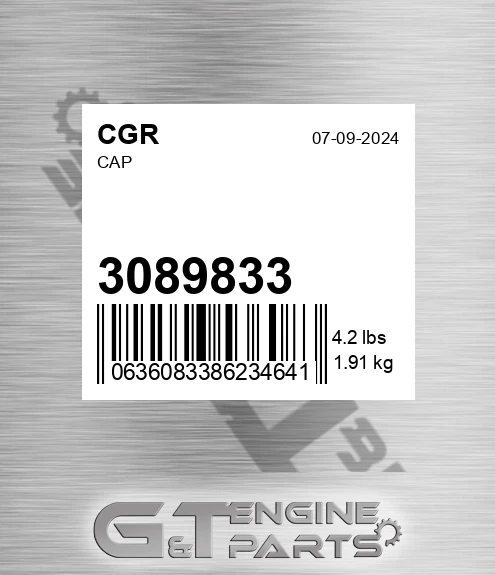 3089833 Cap