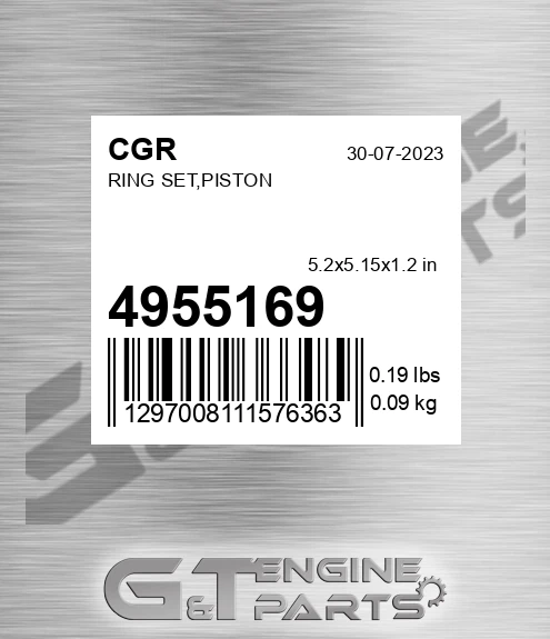 4955169 CGR Ring Set,piston