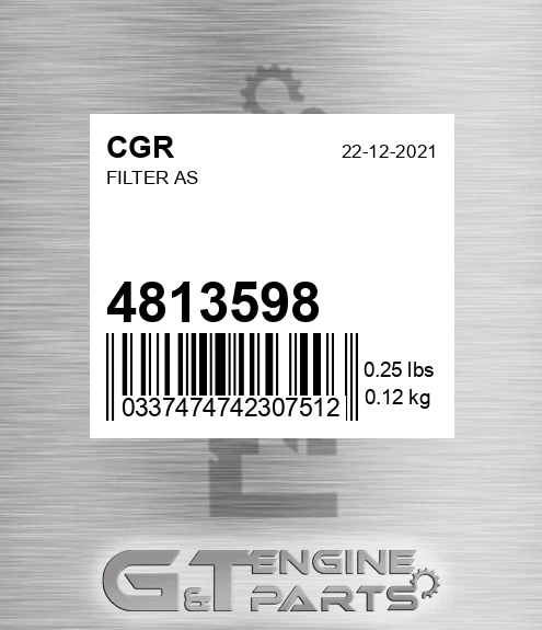 4813598 Filter As