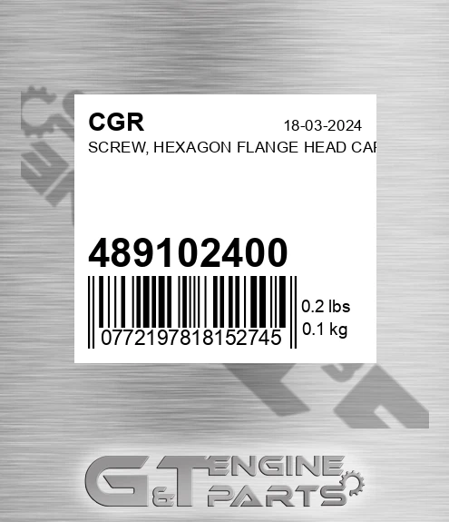 489102400 Screw, Hexagon Flange Head Cap