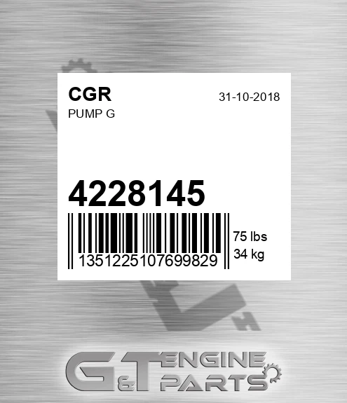4228145 Pump G