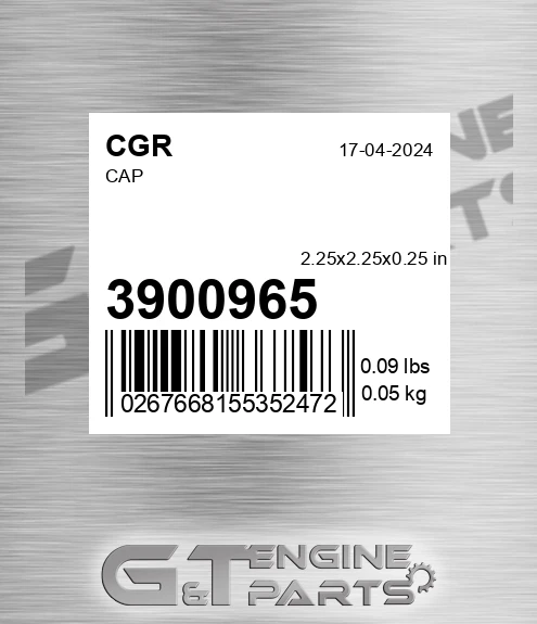3900965 Cap