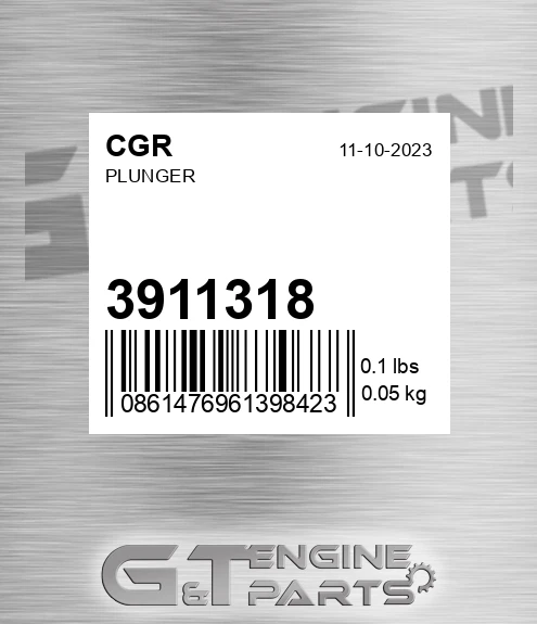 3911318 Plunger