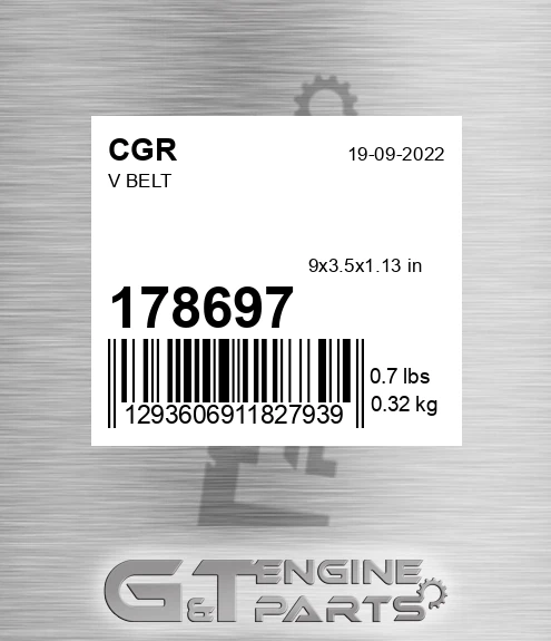 178697 V Belt