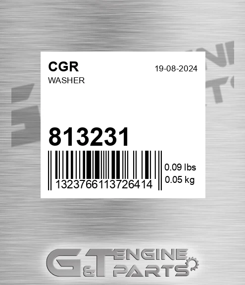 813231 Washer