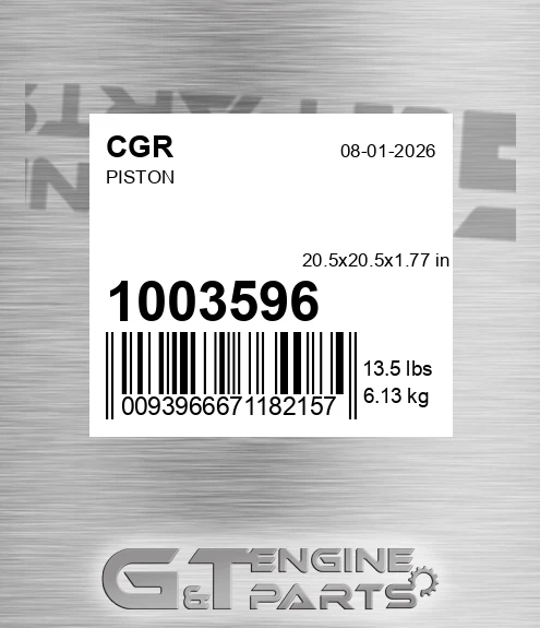1003596 Piston