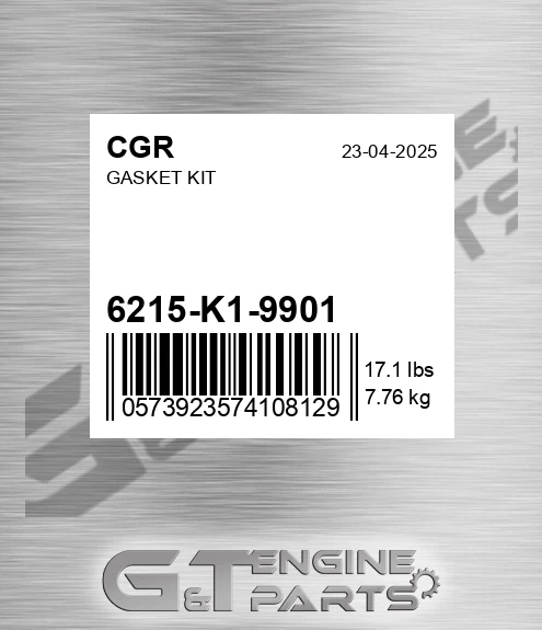 6215-K1-9901 Gasket Kit