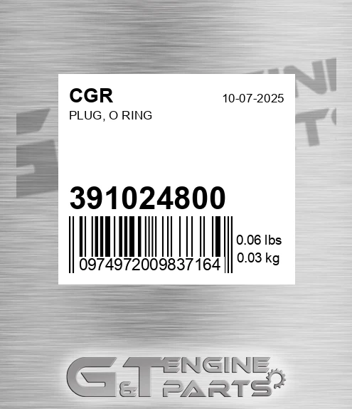 391024800 Plug, O Ring