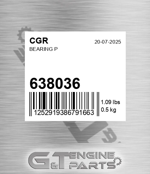 638036 Bearing P
