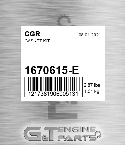 1670615-E Gasket Kit