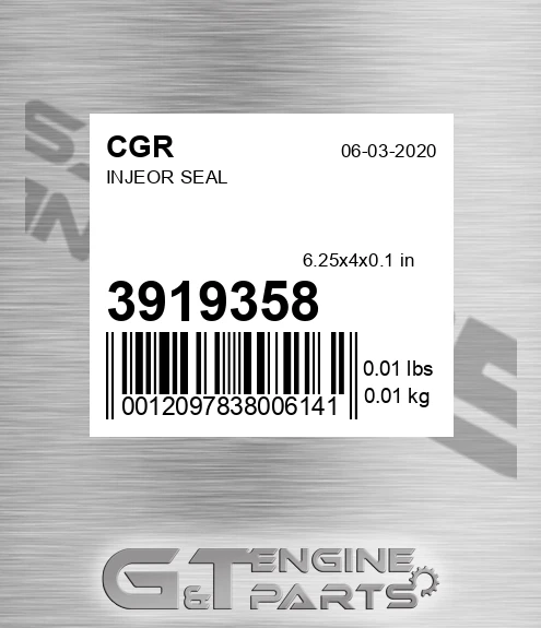 3919358 CGR Injeor Seal