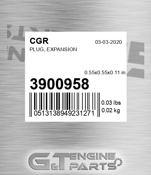 3900958 Plug, Expansion