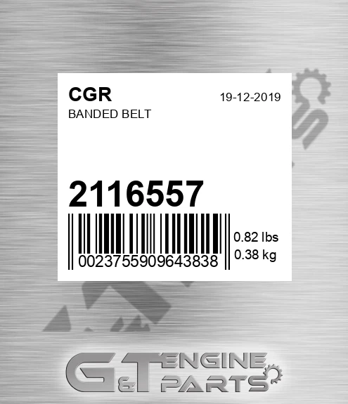 2116557 Banded Belt
