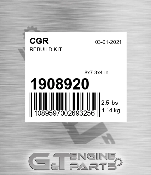 1908920 Rebuild Kit