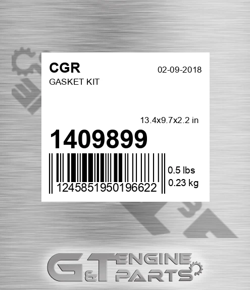 1409899 Gasket Kit