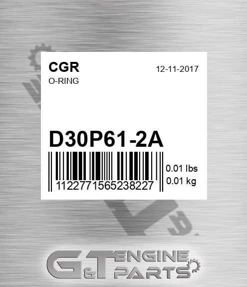 D30P61-2A O-ring