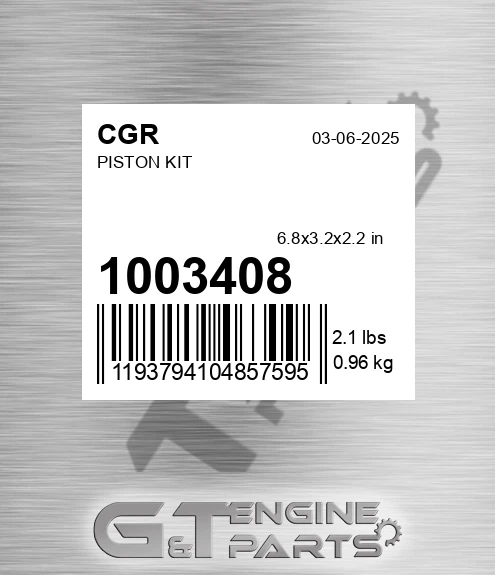 1003408 Piston Kit