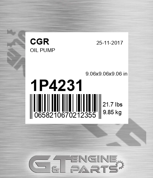 1P4231 Oil Pump