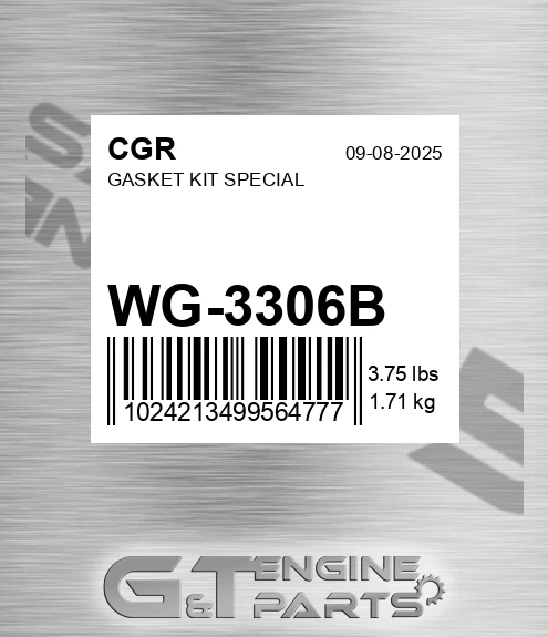 WG-3306B Gasket Kit Special
