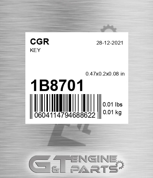 1B8701 Key