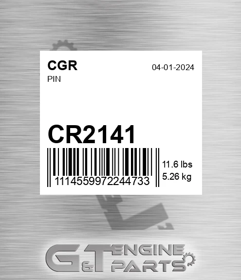 CR2141 Pin