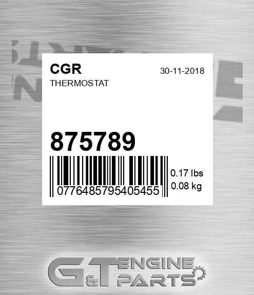 875789 Thermostat